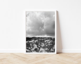 Affordable Black and White Print of Kona's Rugged Lava Terrain - Big Island - Hawaii Photography - Beach Decor - Nature Prints - Travel