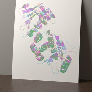 May include: A white rectangular print featuring a complex, three-dimensional molecular structure illustration. The protein model is rendered with a vibrant, iridescent gradient of purple, green, and blue hues, showcasing helical and sheet segments.