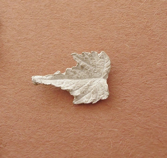 feuilles de vigne vigne vigne sauvage argent sterling orfèvre de conclusions fournit UL014-6 dabb64 feuilles de vigne vigne vigne sauvage argent sterling orfèvre de conclusions fournit UL014-6 dabb64