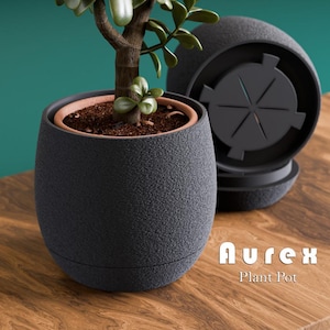 May include: A dark gray, textured, rounded plant pot containing a small green plant with brown soil. The pot features a removable base with a star-shaped drainage pattern. The text "Aurex Plant Pot" is visible in white on the lower right side.
