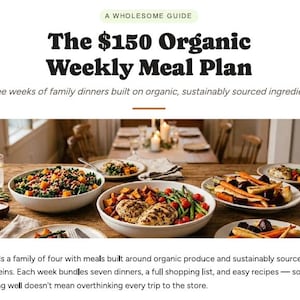 Organic Budget Meal Plan | 3-Week Family Dinner Bundle with Shopping Lists | Printable PDF
