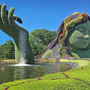 MosaïCanada 150 Terre Mère PHOTO, ACRYLIQUE ou TOILE Mosaïculture Sculpture botanique Plante florale Carte de souhait Poster Image beaux-art