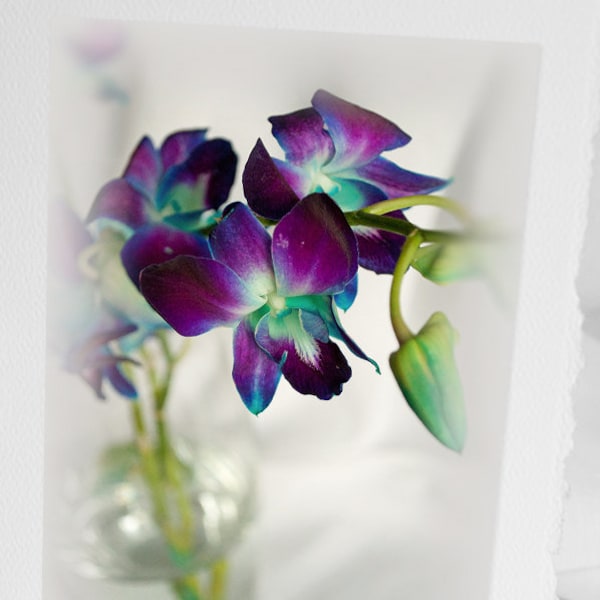 Orchidées dans un vase de verre, Photo 4x6 signée et montée sur CARTE, Toute occasion, Fleur Violet bleu, Aussi en étui iPhone Samsung mère