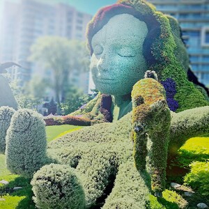 MosaïCanada 150 Terre Mère PHOTO, ACRYLIQUE ou TOILE Mosaïculture Sculpture botanique Plante florale Carte de souhait Poster Image beaux-art