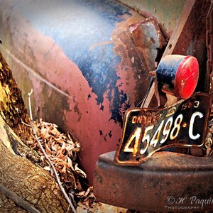 The story behind the old abandoned truck revealed by locals of small town Calabogie, ON Canada, 5x7 Fine Photo Decor, Rusty Mercury, Garage image 3