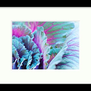 Chou fleur décoratif, PHOTO et TOILE Abstrait, Décor maison, Salle de bain Chambre à coucher, Rose Violet Turquoise, Oeuvre décoration déco