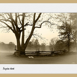 Campagne rurale, PHOTO, Edwards Ottawa Arbre et canards Disponible en noir et blanc Sépia, Décor maison rustique, Décoration murale, cadeau