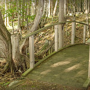 Le pont au pays imaginaire, PHOTO et TOILE, Décor maison chalet bureau, Arbre Cadeau pour lui elle mari femme, Bois forêt brun vert, canvas