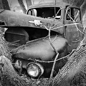 The story behind the old abandoned truck revealed by locals of small town Calabogie, ON Canada, 5x7 Fine Photo Decor, Rusty Mercury, Garage image 2