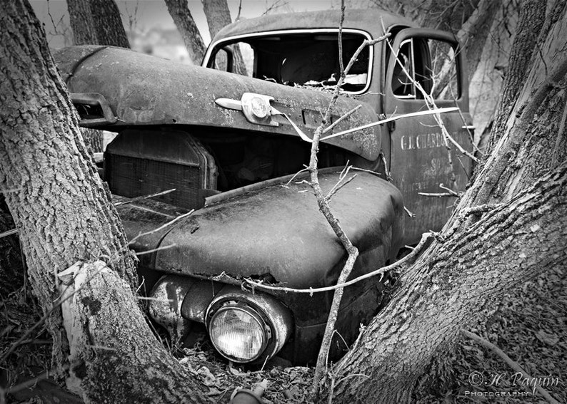 The story behind the old abandoned truck revealed by locals of small town Calabogie, ON Canada, 5x7 Fine Photo Decor, Rusty Mercury, Garage image 2