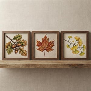 Può includere: Tre quadri quadrati con illustrazioni botaniche su uno sfondo in tessuto chiaro. La cornice a sinistra mostra un ramo di quercia con foglie verdi e ghiande marroni. La cornice centrale mostra una singola foglia d'acero arancione. La cornice a destra raffigura un ramo di ginkgo con foglie gialle a ventaglio.