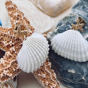 Golden Shore | Starfish and Genuine Florida Shell Earrings | Handmade Gold Plated Jewelry, Nautical and Elegant Style
