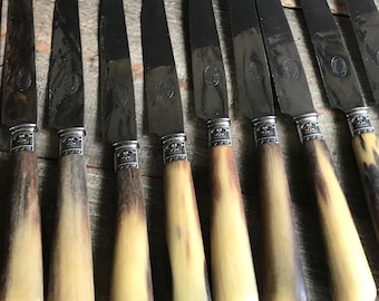 French Horn Handle Knife Set, Marked, Guyonneau, Besancon, France, Boxed Set of 12, Decorative Collars,Chateau Decor, Farmhouse Decor