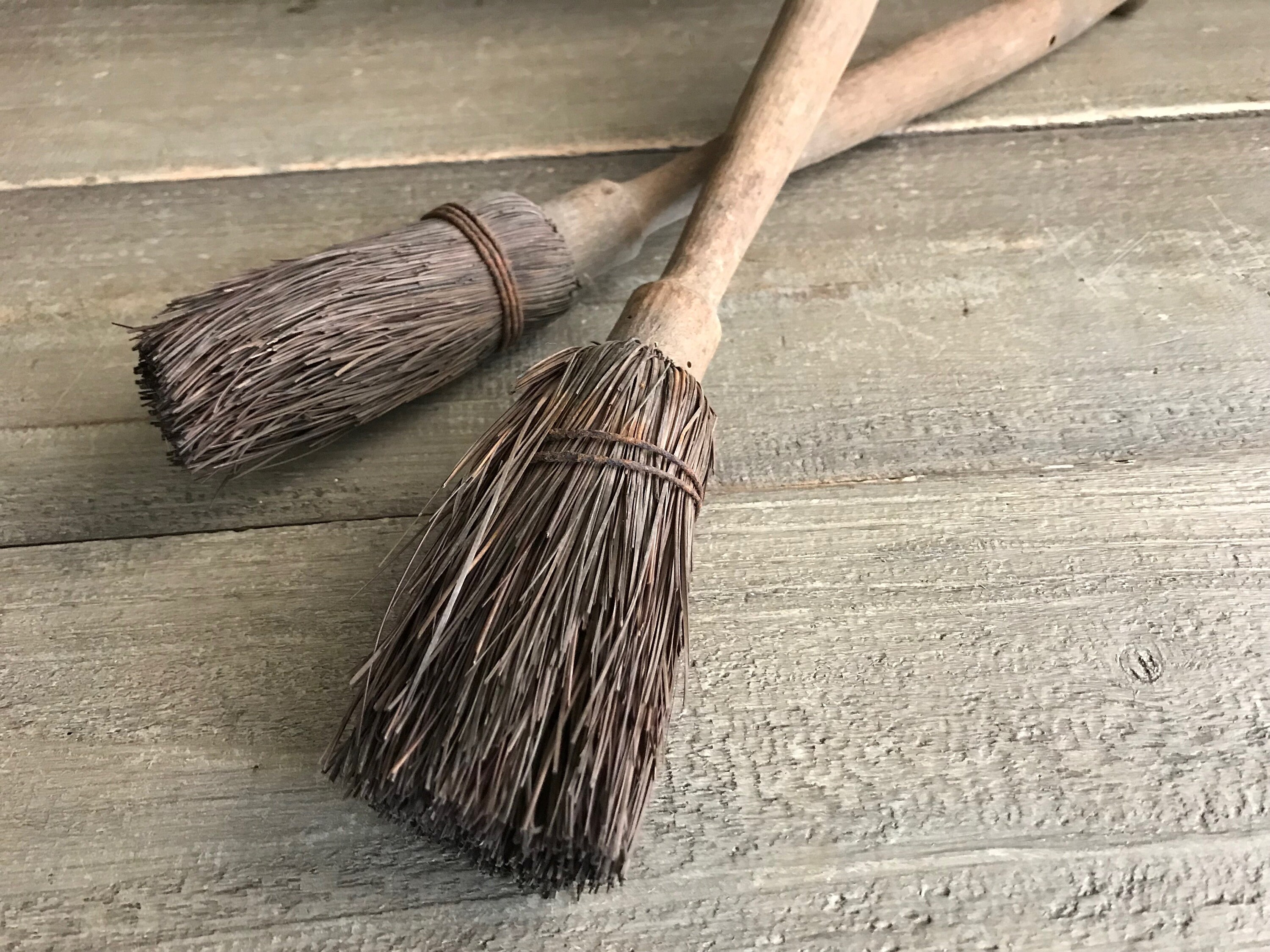 french broom french broom
