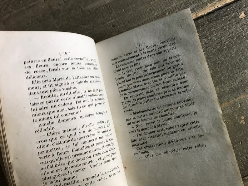 May include: A close-up of two pages from a vintage book with text in French. The pages are yellowed with age and the text is printed in black ink. The text on the left page reads "peintre en fleurs! cette corbeille, ane ses fleurs encore toutes brillantes de ros&eacute;e, ferait sur la toile un effet d&eacute;licieux."