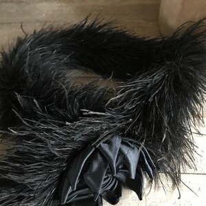 Fjäderprydd boahalsduk, formell klädsel, satinrosett, accessoarer, kostym, tidstypiskt skådespel, teaterproduktion bild 4