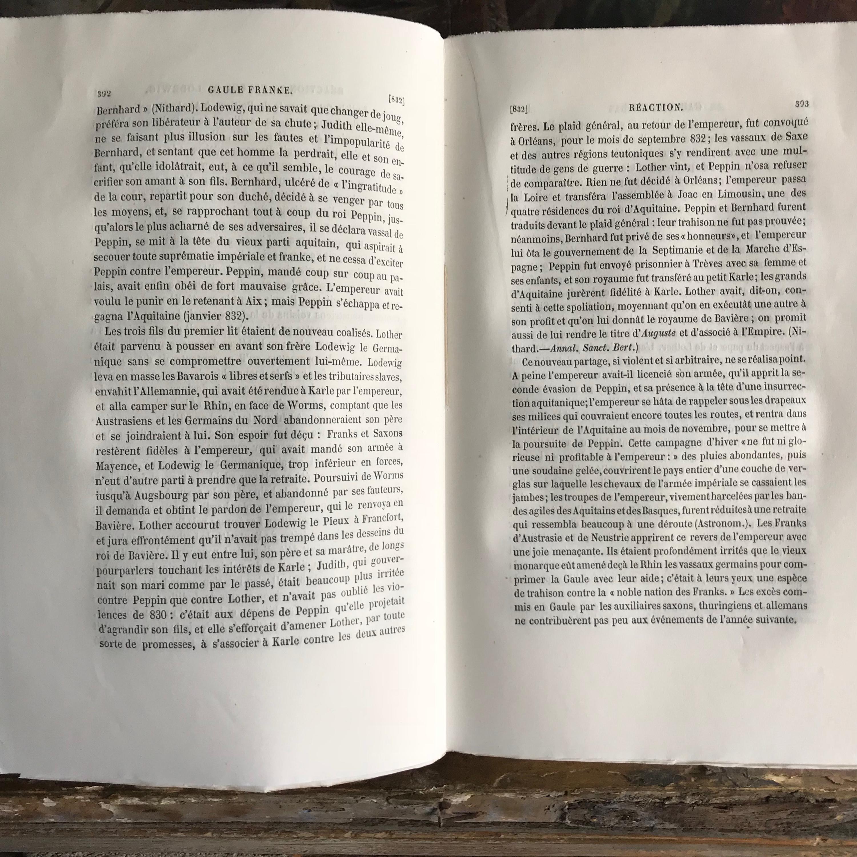 1860年代のフランス本『Histoire de France』、泡立つような装丁の本
