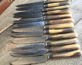 French Bone Handle Dinner Knife Set, Steel Flatware, Original Box, Set of 12, Rustic French Farmhouse Cuisine Props