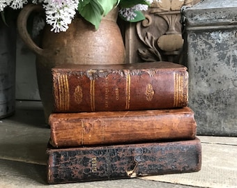 19th C Französisch Leder gebunden Buch, vergoldet, L 'Histoire, religiös, Bibel, Schloss Dekor, antiquarische Bücher, verkauft von jedem Buch
