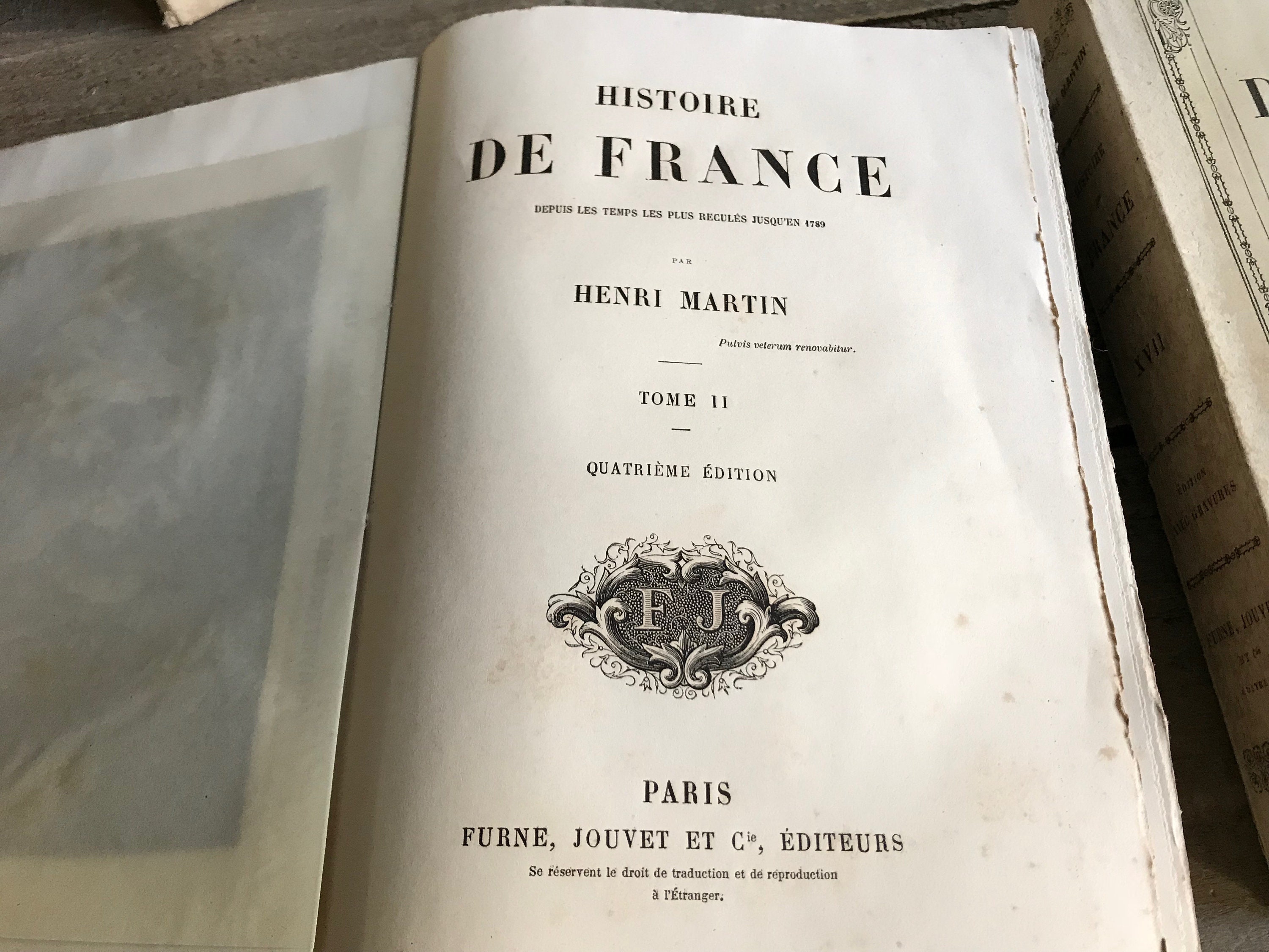 1860年代のフランス本『Histoire de France』、泡立つような装丁の本
