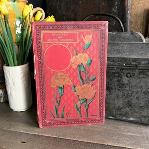 Livre scolaire Français du 19e siècle, Nouvelles Scènes Familieres, Couverture dorée, Illustrations romantiques de la vie paysanne à la campagne, Chérubins