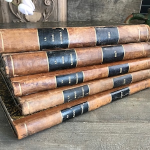 Libros de cuero francés del siglo XIX, La Mode Illustrée de la década de 1860, Moda, Estilo de vida, Libros apilables grandes, Decoración de la biblioteca Chateau
