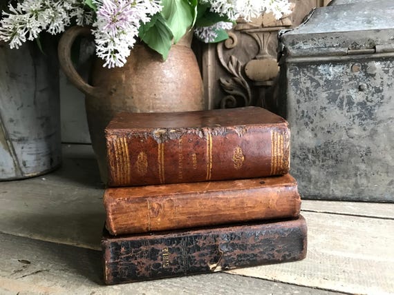 19世紀フランス製革装丁本、金箔押し、L' Histoire、宗教書、聖書、城