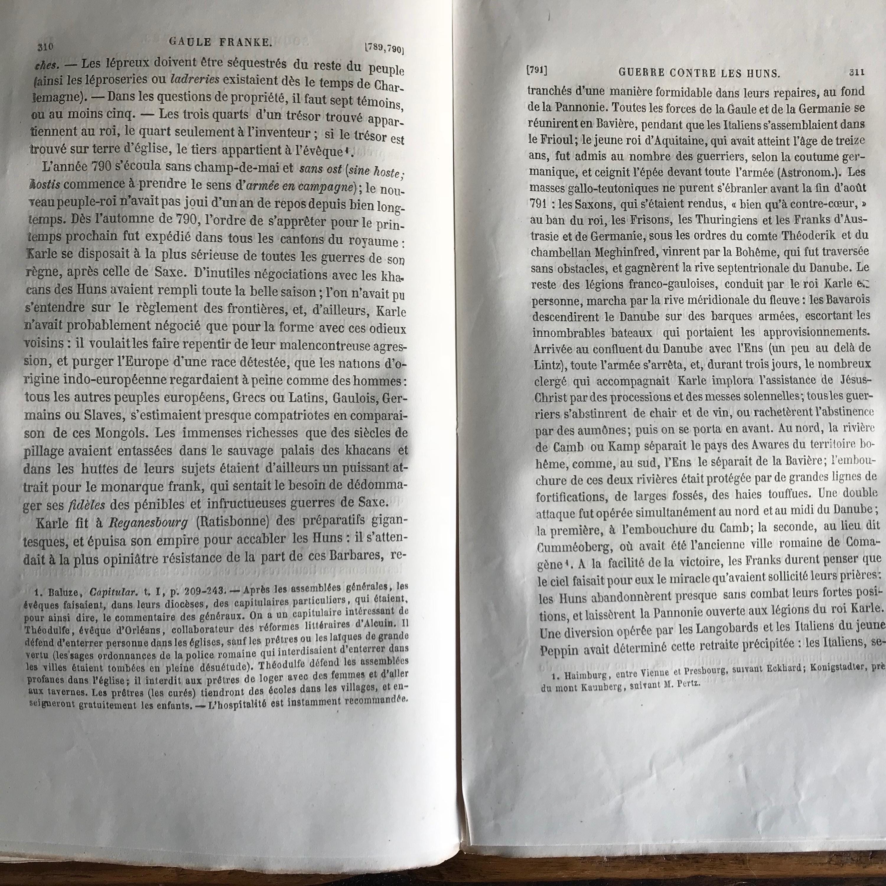 1860年代のフランス本『Histoire de France』、泡立つような装丁の本