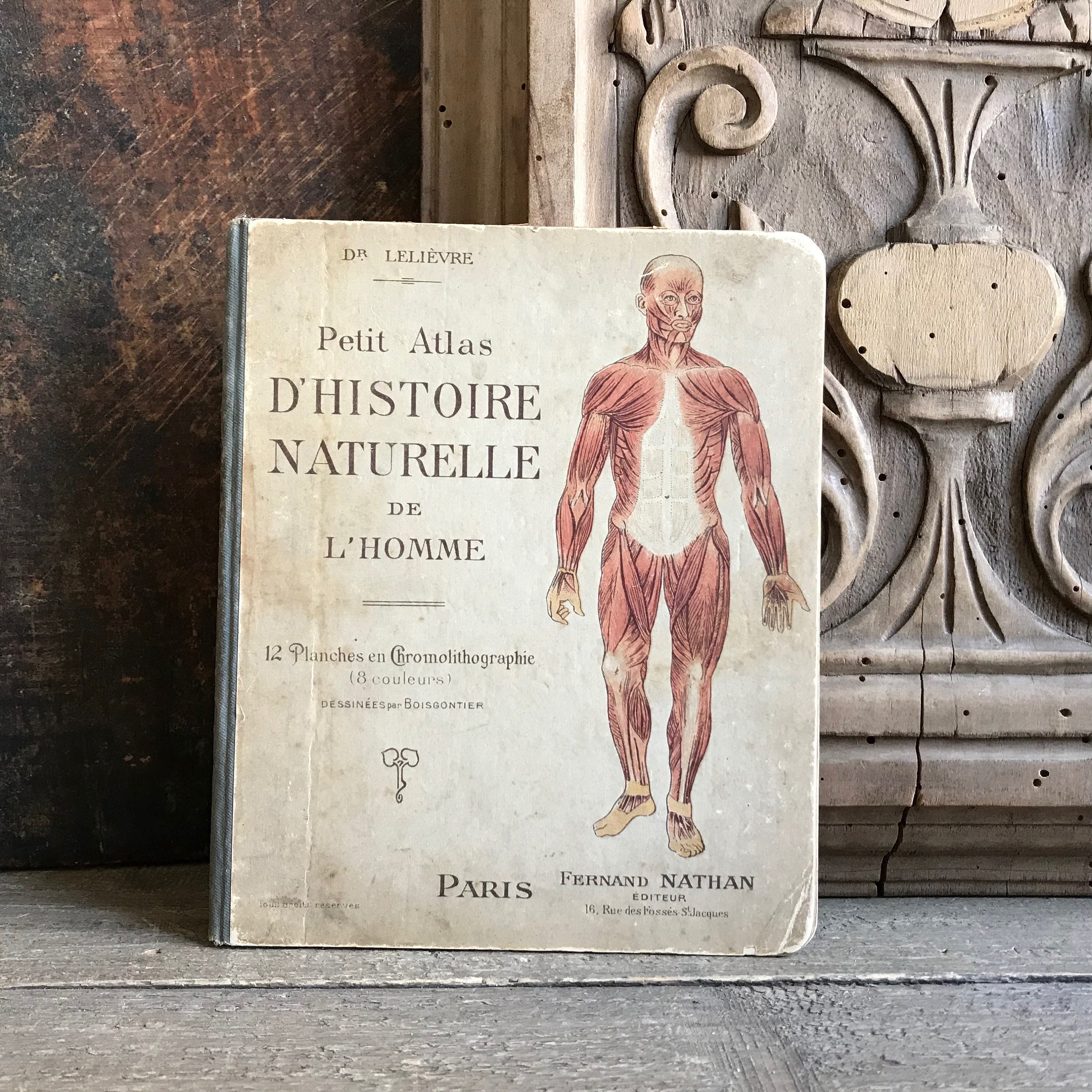 英文)ヨーロッパの解剖図の歴史 The Fabric of the Body
