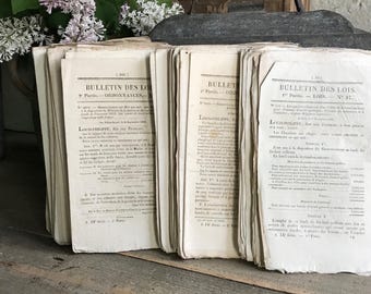 1830年代のフランス製羊皮紙製法律パンフレット束、公報、綴じられてい
