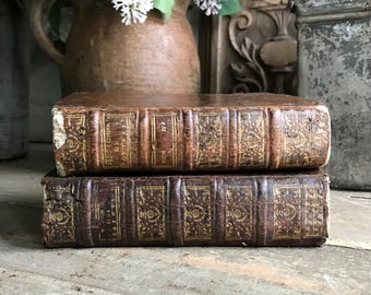 18世紀フランスの革装丁本、金箔押しの背表紙、シャトー装飾、古書、1