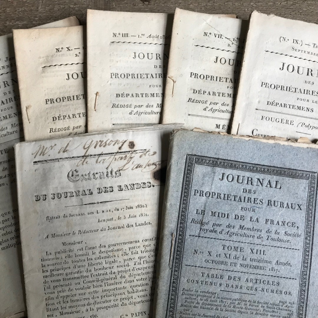 アンティーク 印刷物 コレクション 1800年代 多色刷美術印刷 額装 『森の妖精と天使』 - 薔薇と天使のアンティーク