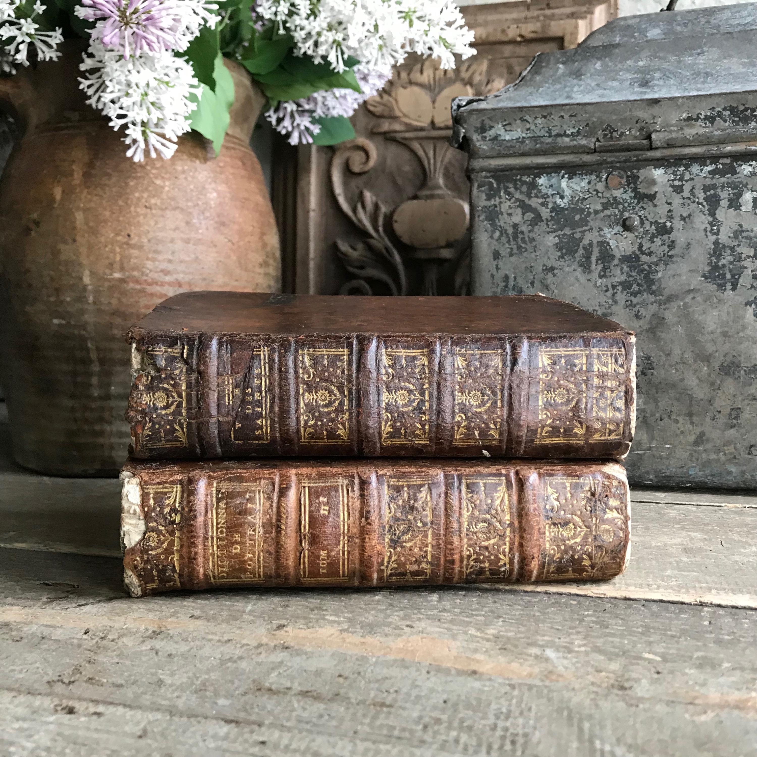 18世紀フランスの革装丁本、金箔押しの背表紙、シャトー装飾、古書、1