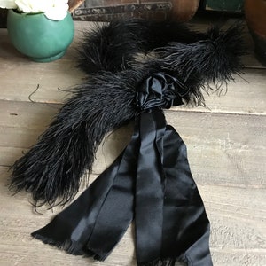 Fjäderprydd boahalsduk, formell klädsel, satinrosett, accessoarer, kostym, tidstypiskt skådespel, teaterproduktion bild 6