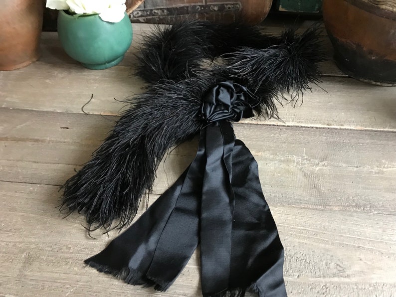 Fjäderprydd boahalsduk, formell klädsel, satinrosett, accessoarer, kostym, tidstypiskt skådespel, teaterproduktion bild 6