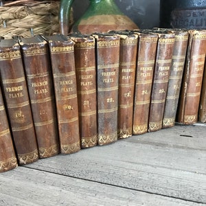 1820s Répertoire du Théâtre de Madame, Bezou et Aimé-André French Classic Play Books, Stacking Display, Chateau Decor