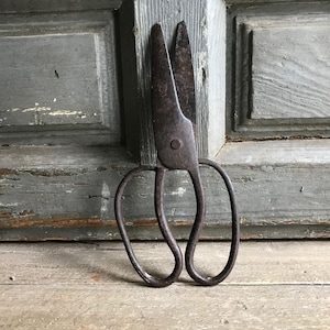 May include: Vintage metal scissors with large loop handles. The scissors have a dark, aged appearance, with visible signs of wear and rust. The blades are wide and slightly curved, suggesting they were used for cutting fabric or other materials.
