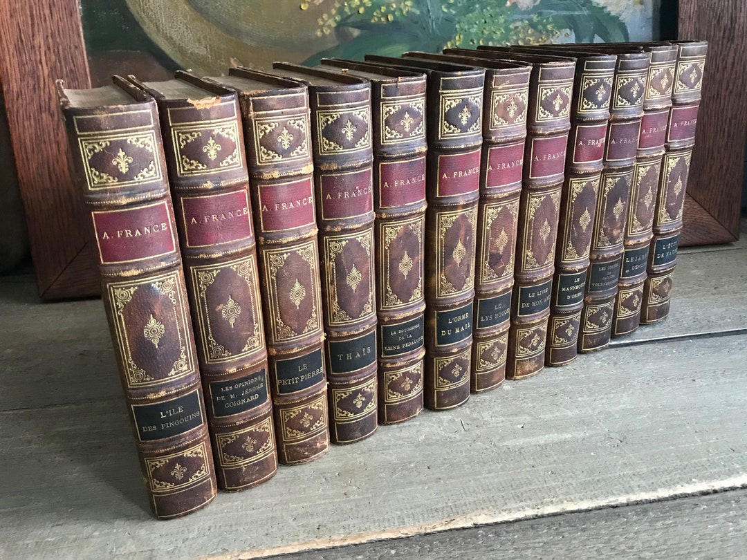 アンティーク雑貨 Old French Books 1830. il_1080xN.3296761505_f3lh.jpg