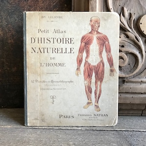19e C Franse Anatomie Boek, Wetenschap Anatomische Studie Medisch Menselijk Lichaam Grafiek, Chromolithograph Illustraties, Wetenschap Nieuwsgierigheid