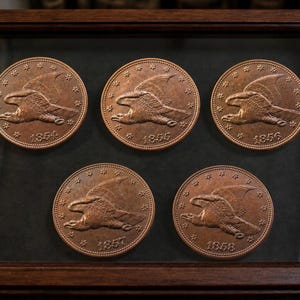 May include: A dark wooden display case containing five round copper-colored coins arranged in two rows. Each coin features an embossed flying eagle design surrounded by stars, with the years 1854, 1855, 1856, 1857, and 1858 printed below.