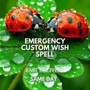 Puede incluir: Dos mariquitas con caparazones rojos y puntos negros sobre una hoja de trébol verde cubierta de gotas de agua. El texto dice EMERGENCY CUSTOM WISH SPELL, FAST DELIVERY, SAME DAY en letras mayúsculas blancas sobre el trébol.