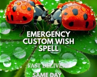 Emergency Custom Wish Spell, Personalized Wish Spell, Custom Spell Service, Manifestation Ritual, Spiritual Wish Spell