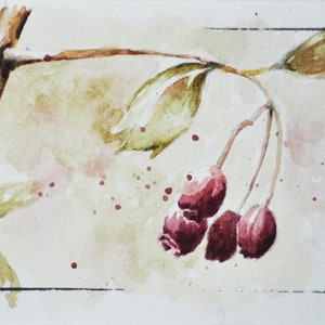 Acuarela ACEO pintura de bayas secas arte original