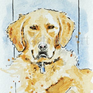 Original ACEO tarjeta ooak perro acuarela pintura