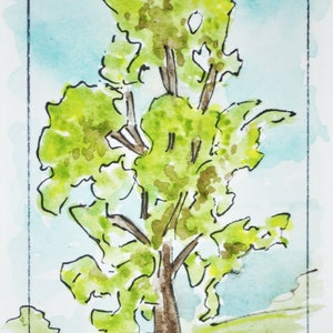 Original miniature aquarelle art carte ACEO arbre d’ombrage