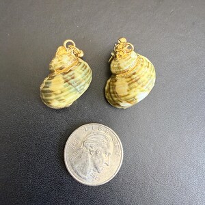 May include: Two natural spiral seashells with gold-toned metal caps and jump rings attached to the top. The shells feature mottled green, brown, and cream patterns. A standard United States quarter coin is placed below for scale.