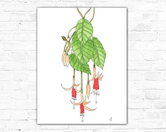 Hanging Fuchsia Contemporary Original Watercolor Painting Giclee Print On Canvas Wrap Wall Decor Fine Art