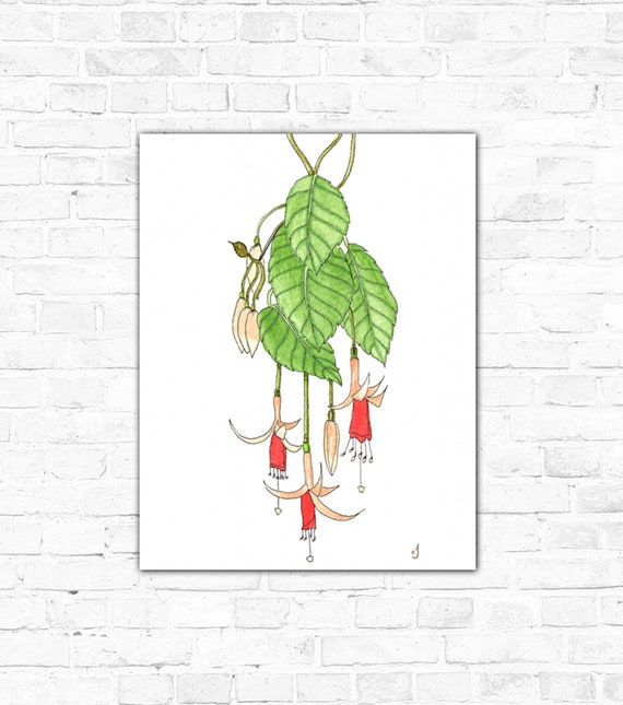 Hanging Fuchsia Contemporary Original Watercolor Painting Giclee Print On Canvas Wrap Wall Decor Fine Art