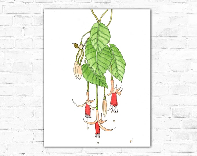 Hanging Fuchsia Contemporary Original Watercolor Painting Giclee Print On Canvas Wrap Wall Decor Fine Art
