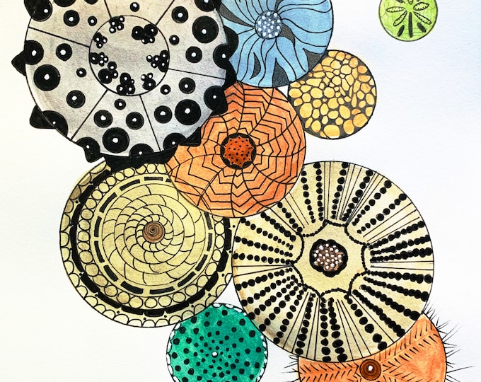 Sand Dollar Collection Number One Original Watercolor Painting Print On Canvas Wrap Wall Decor Fine Art Giclee Printing